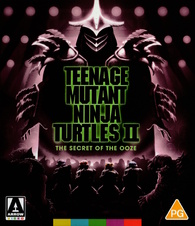 Teenage Mutant Ninja Turtles II: The Secret of the Ooze